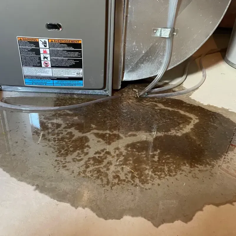 Appliance Leak Cleanup in Phoenix, IL